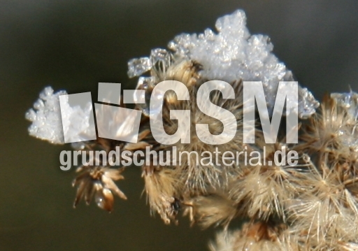 Winterimpressionen 004.jpg